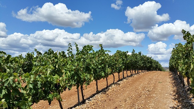 ruta en autocaravana la rioja