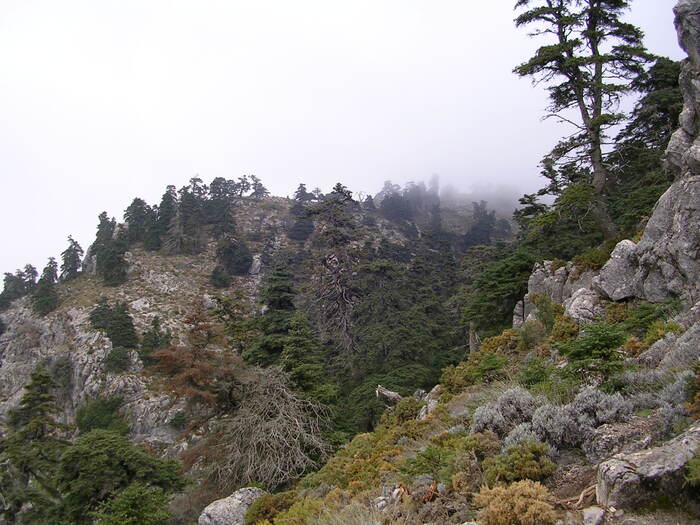 ruta en autocaravana por la sierra de ronda