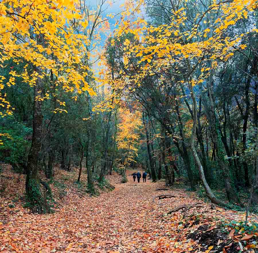 Ruta en autocaravana por La Garrotxa
