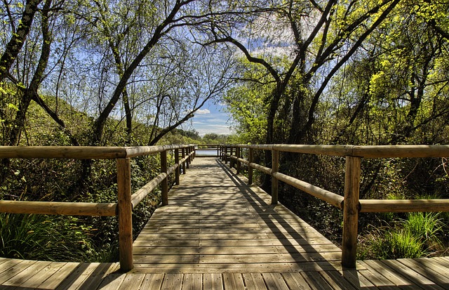 Ruta en autocaravana por el Parque Nacional de Doñana